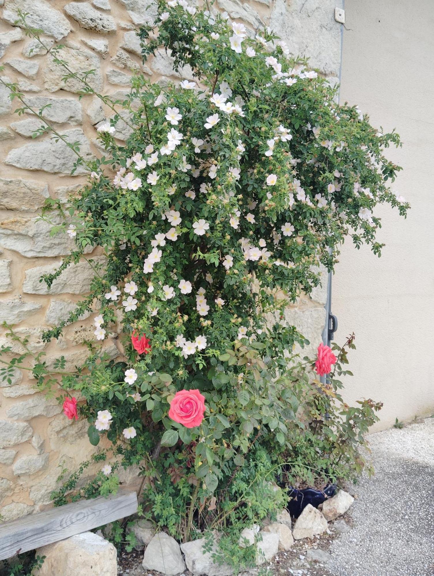 Gite L'Edenwine Doulezon Luaran gambar